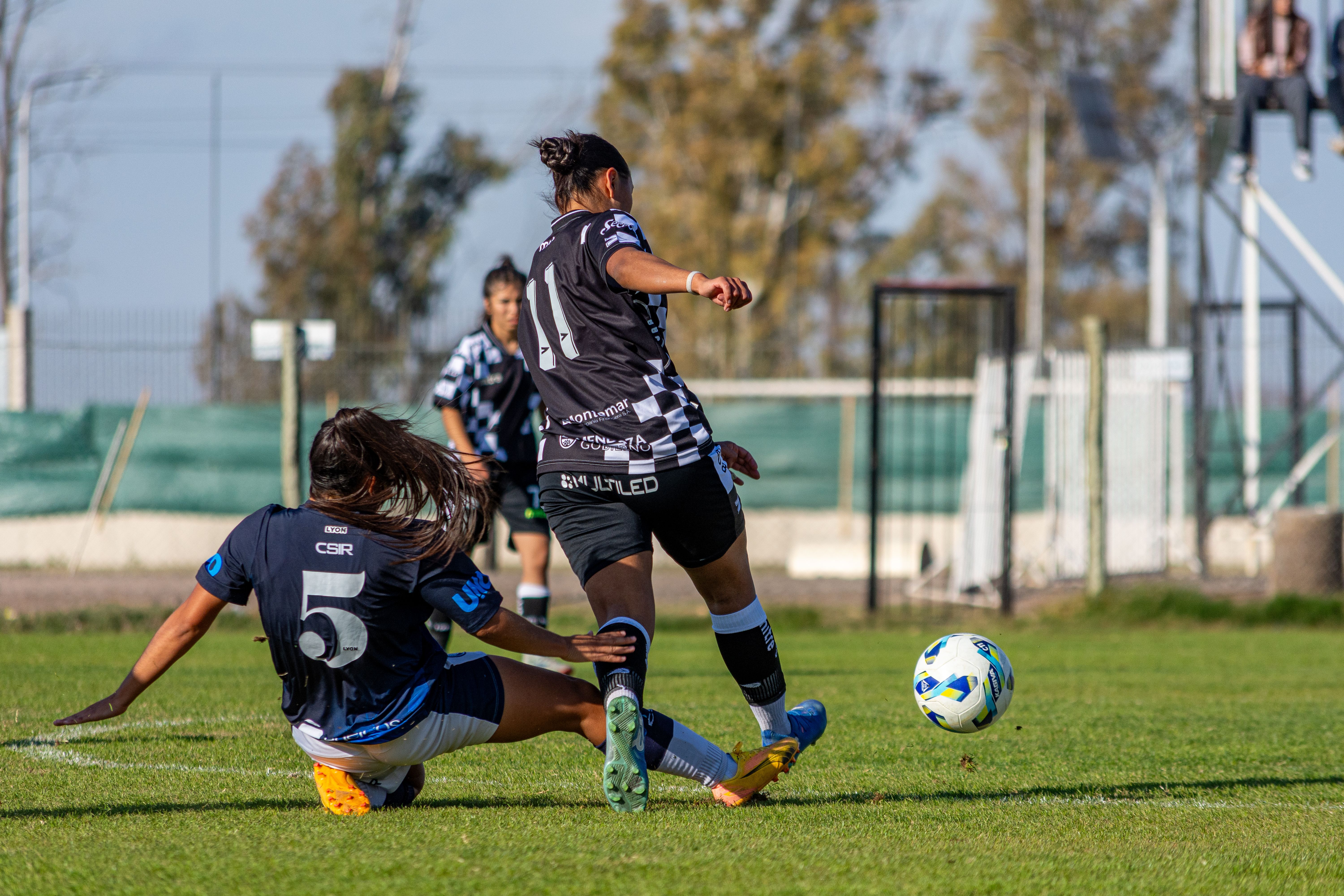 Brasileirão Retorna: Fim da Paralisação após Eliminação na Copa