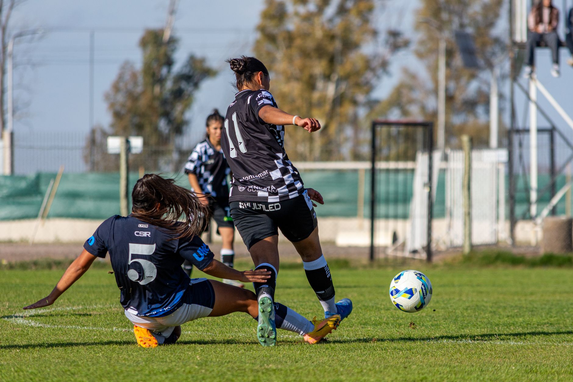 Brasileirão Retorna: Fim da Paralisação após Eliminação na Copa