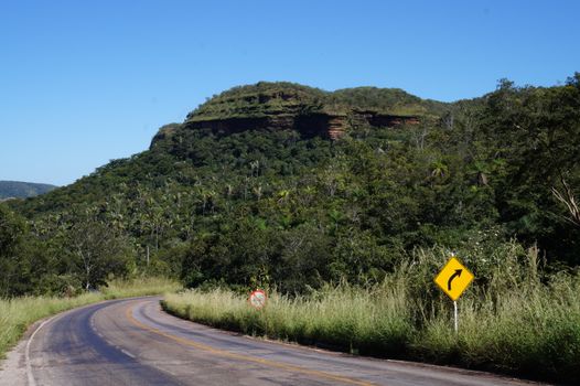 Tocantins apresenta sua biodiversidade em evento internacional - imagem 4