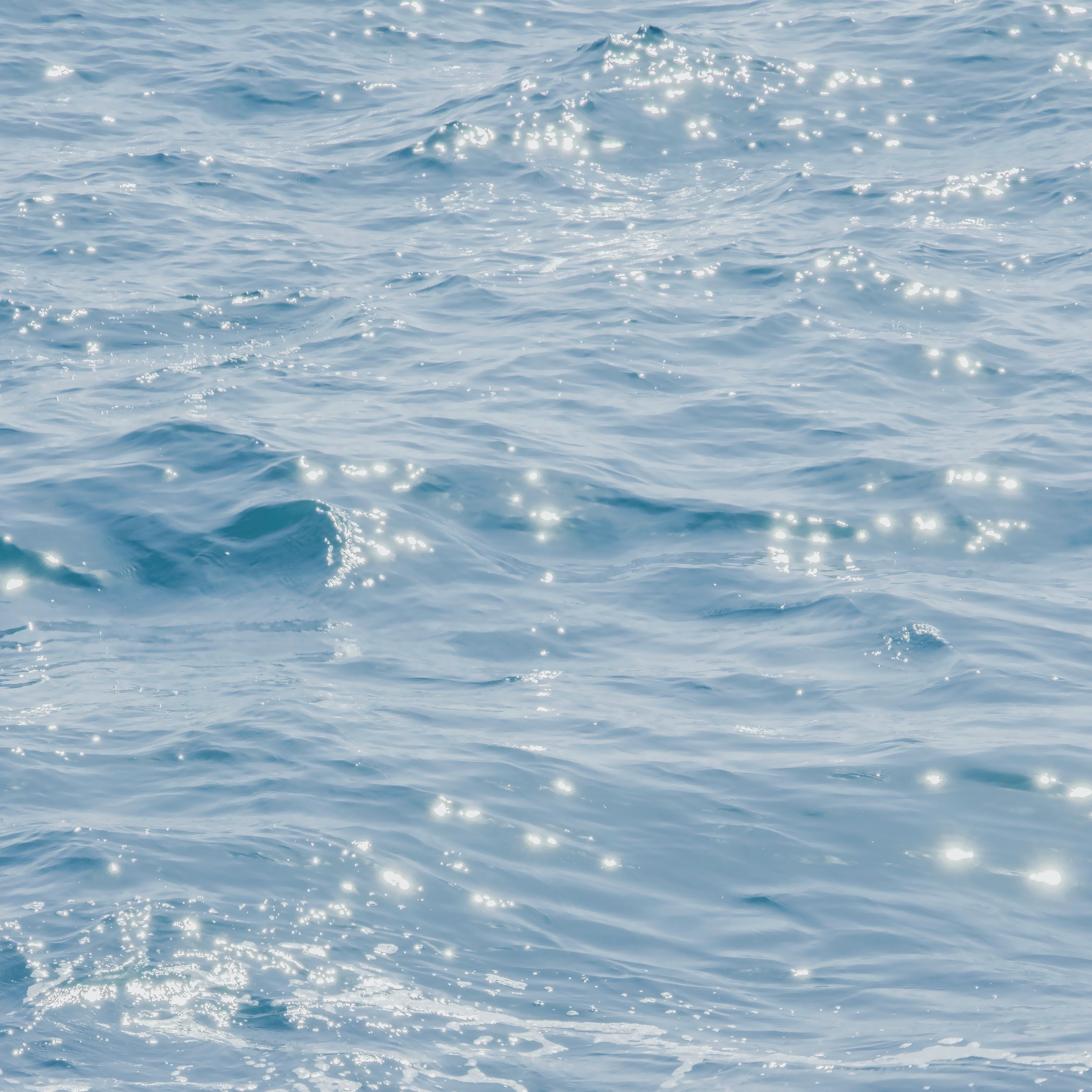 Glistening Blue Ocean Waves in Sunlight · Free Stock Photo