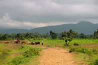 Scenic rural landscape with cattle herders and lush greenery under cloudy skies.