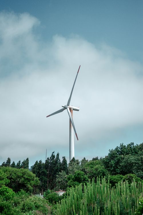 Free A scenic view of a wind turbine surrounded by green trees under a cloudy blue sky. Stock Photo