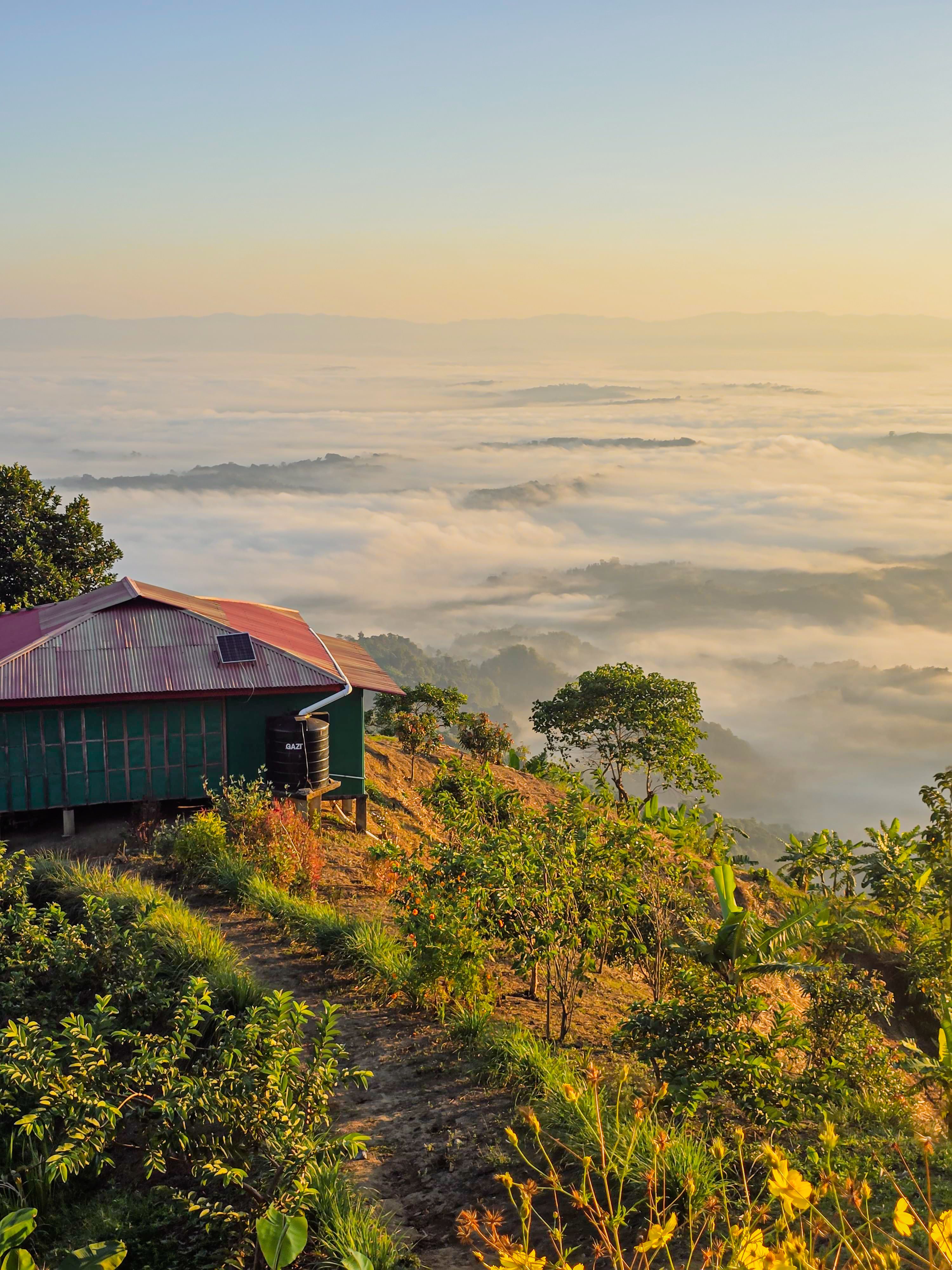 The Peak Lodge