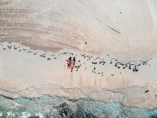 Free Bird's Eye View Of People Sitting On Beach Stock Photo