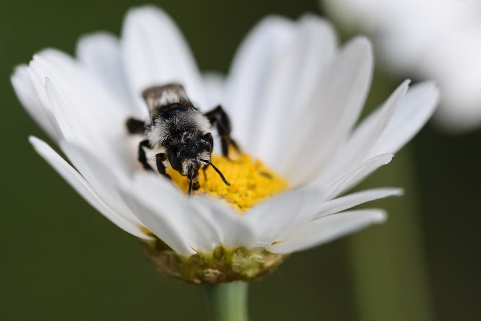 ### Microservices and Real-Time APIs