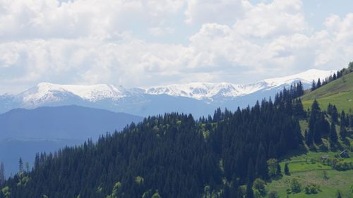 Free Stunning view of snowy mountains and lush forest under a vibrant sky. Stock Photo