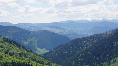 Free Explore the breathtaking view of lush green forests and majestic mountains under a cloudy sky. Stock Photo