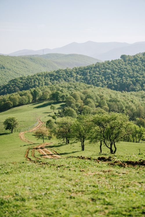 Lush Green Hills and Winding Dirt Road Landscape · Free Stock Photo