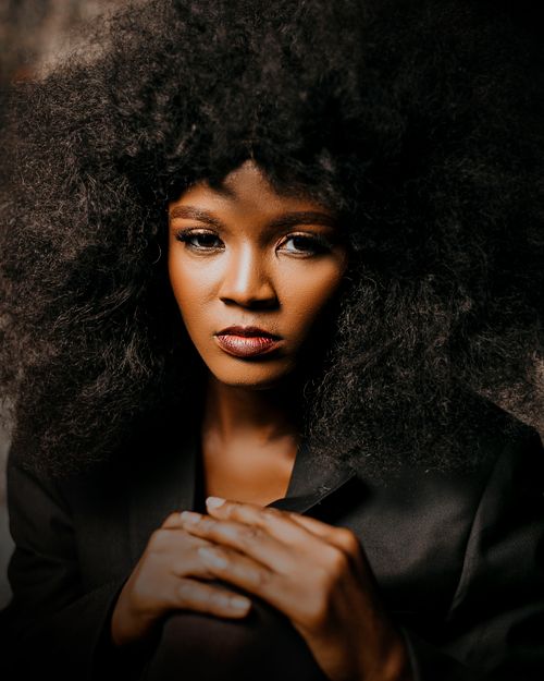 Free Elegant portrait of a woman with a natural afro and confident expression. Stock Photo