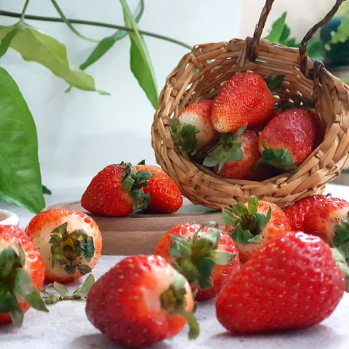 Free stock photo of delicious, fresh strawberries, juicy strawberries Stock Photo