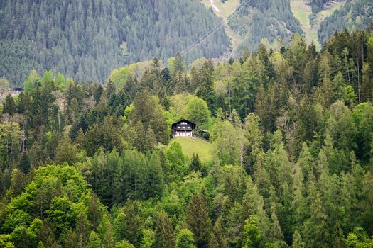 A serene Swiss chalet surrounded by lush alpine forest, perfect for nature lovers.