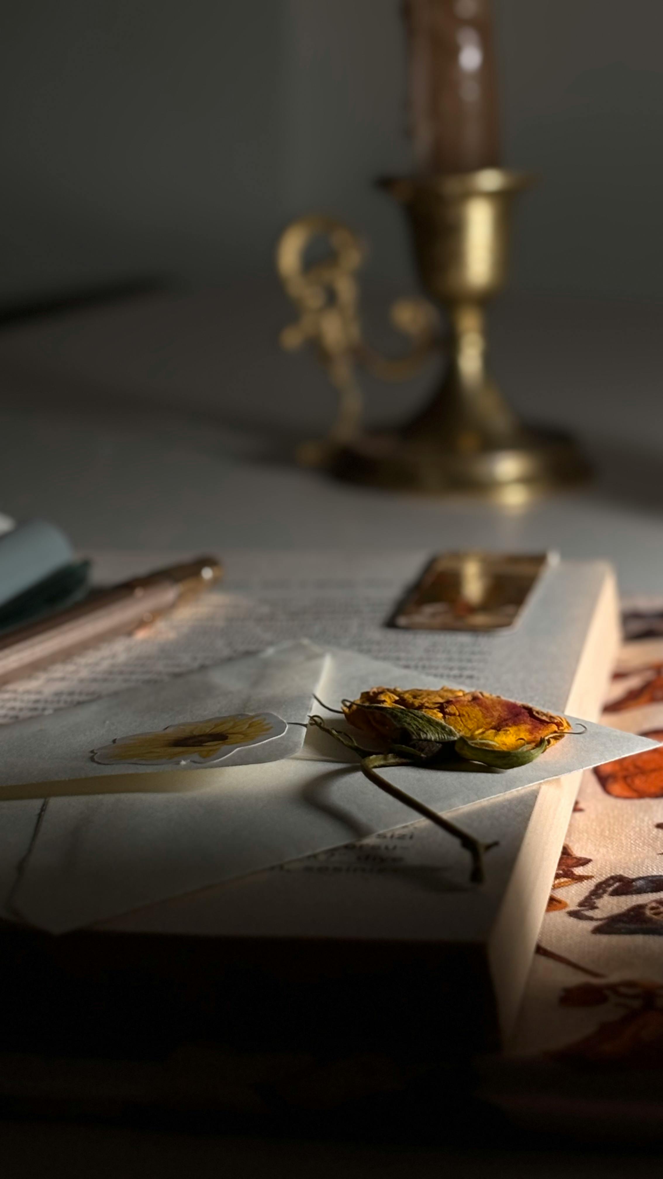 Gratis Immagine gratuita di accogliente, ambientazione, ambiente accogliente Foto a disposizione