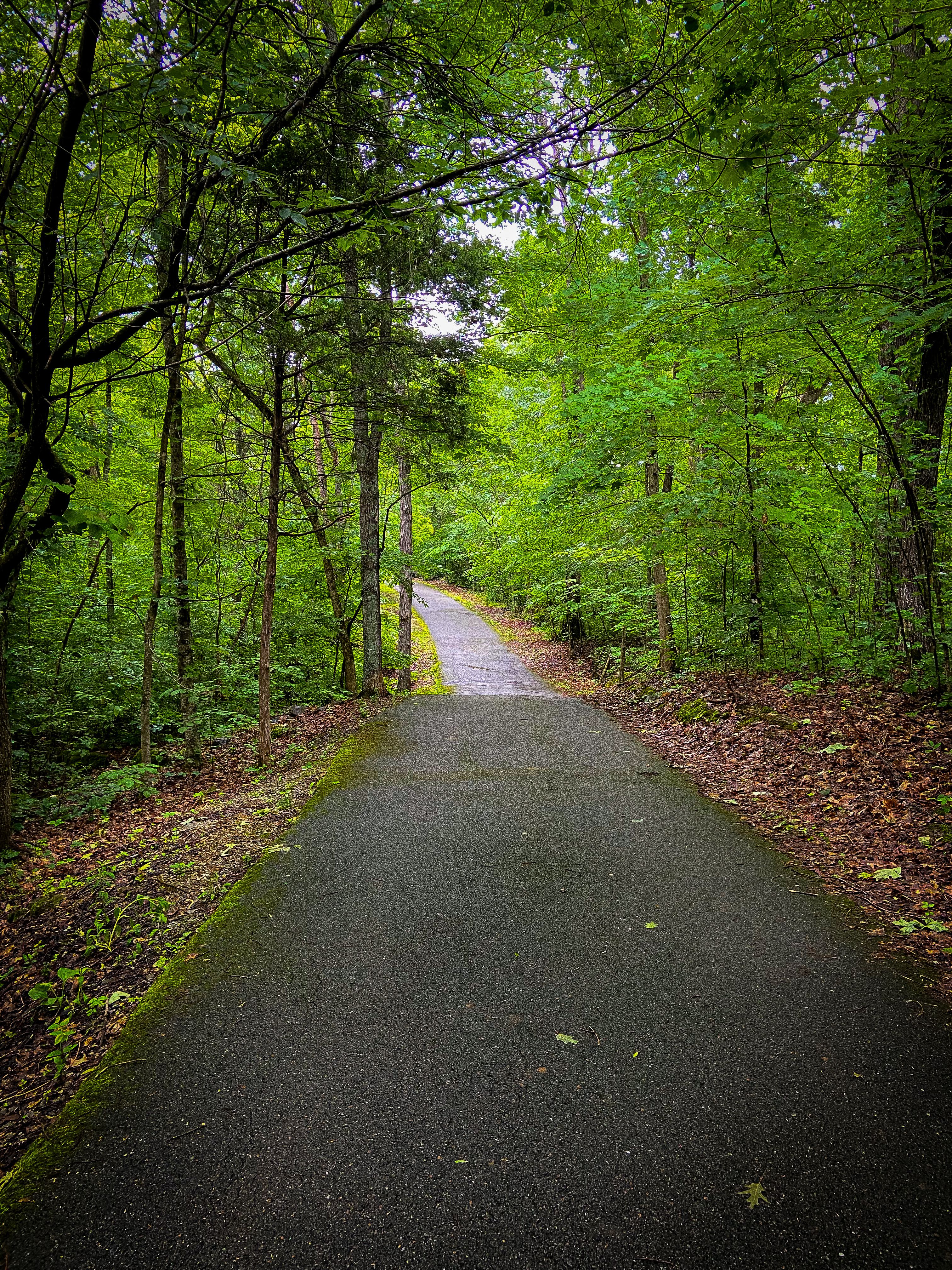things to do in franklin indiana