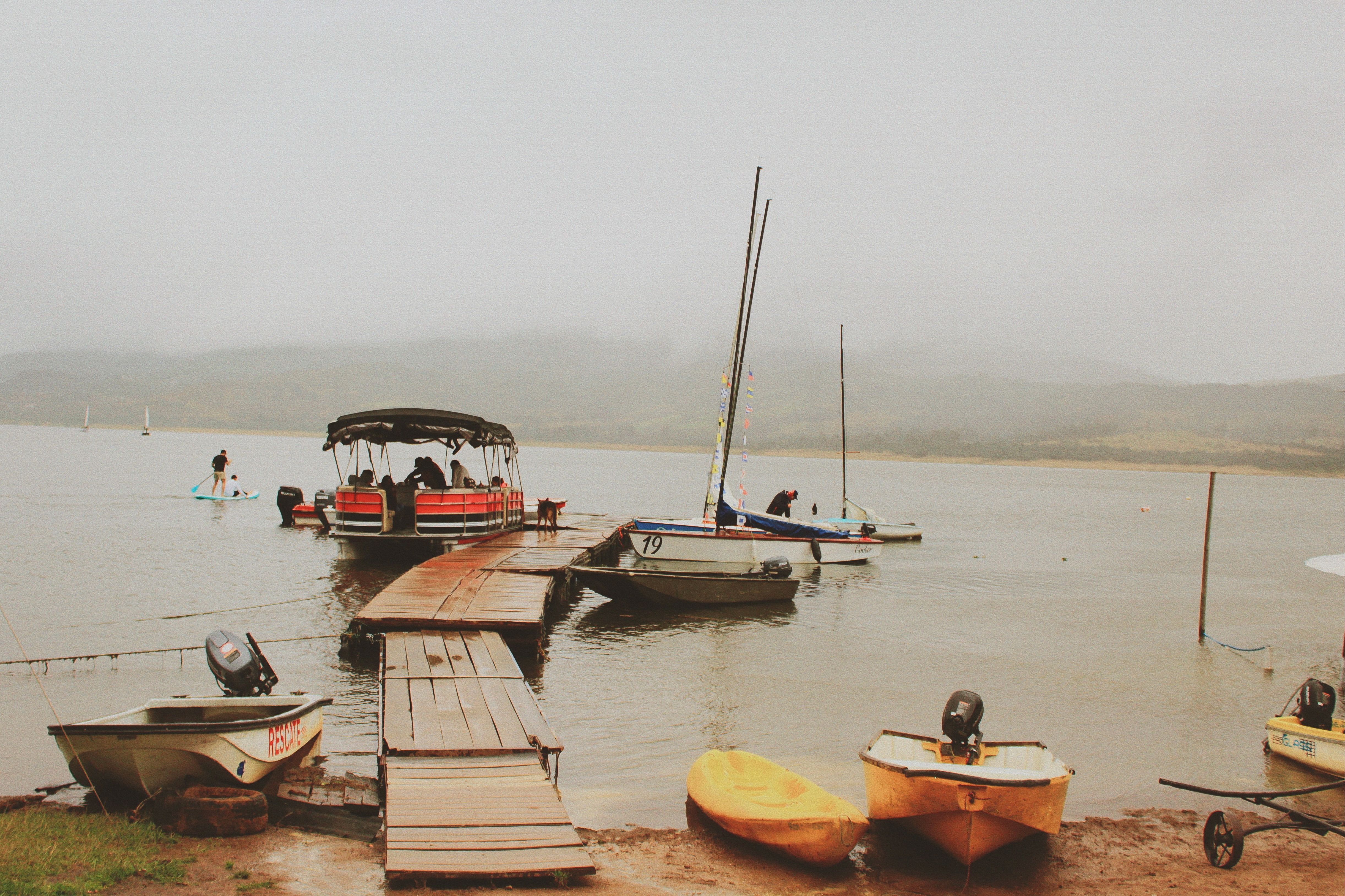 Day Misty Photos, Download The BEST Free Day Misty Stock Photos & HD Images