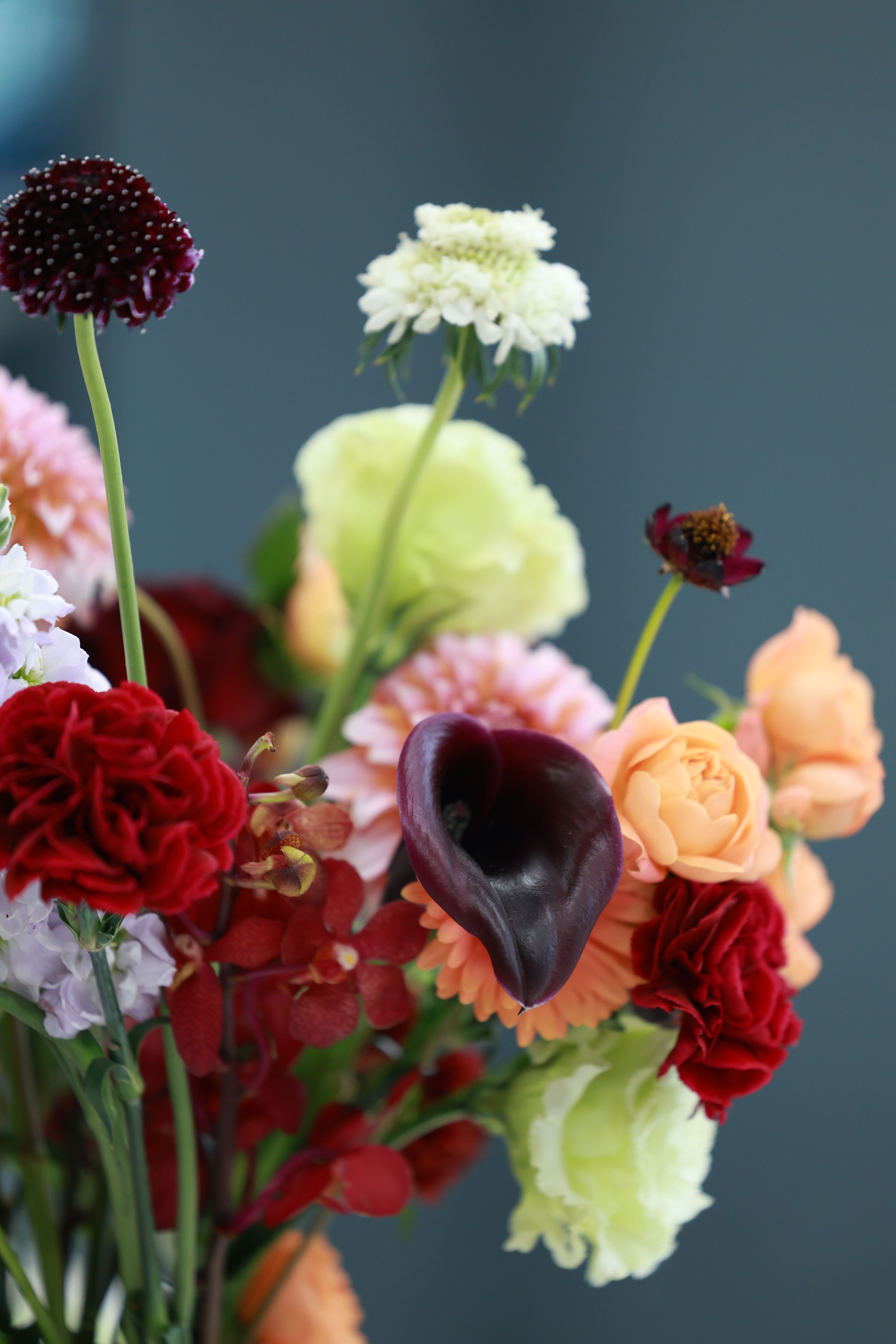 [ColoSach]-vibrant-bouquet-of-mixed-flowers-featuring-peonies,-roses,-and-calla-lilies.
