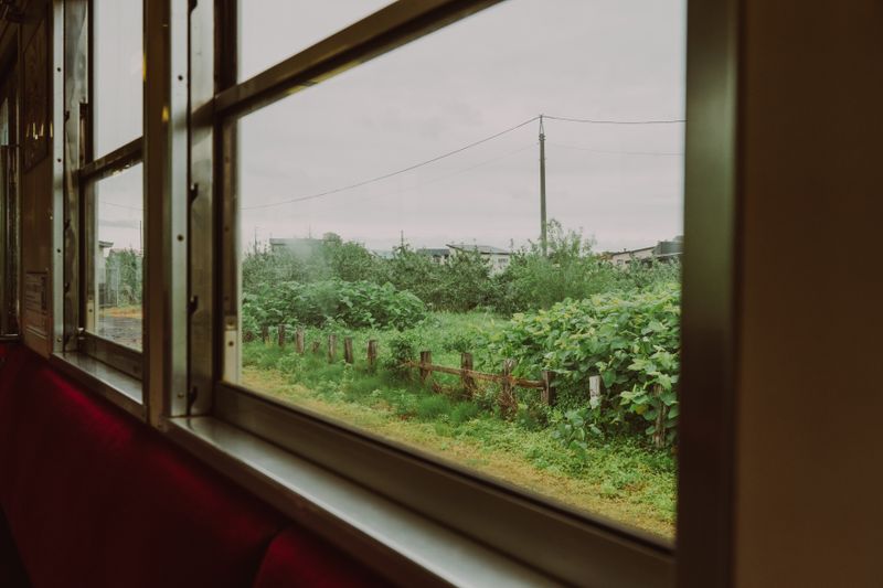 Scenic countryside view through a train window, featuring lush greenery and overcast skies.