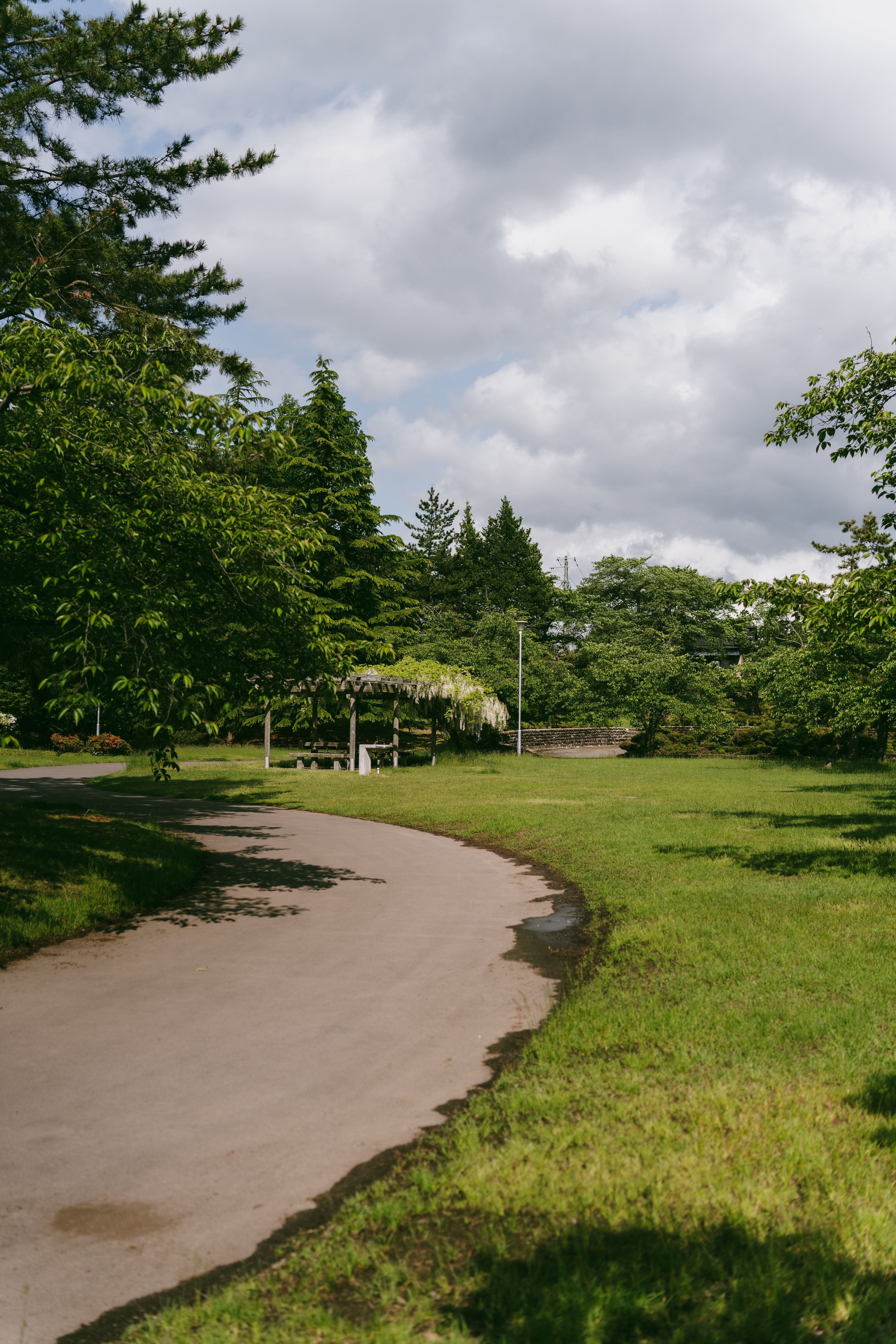 Lush Green Park with Serene Pathway · Free Stock Photo