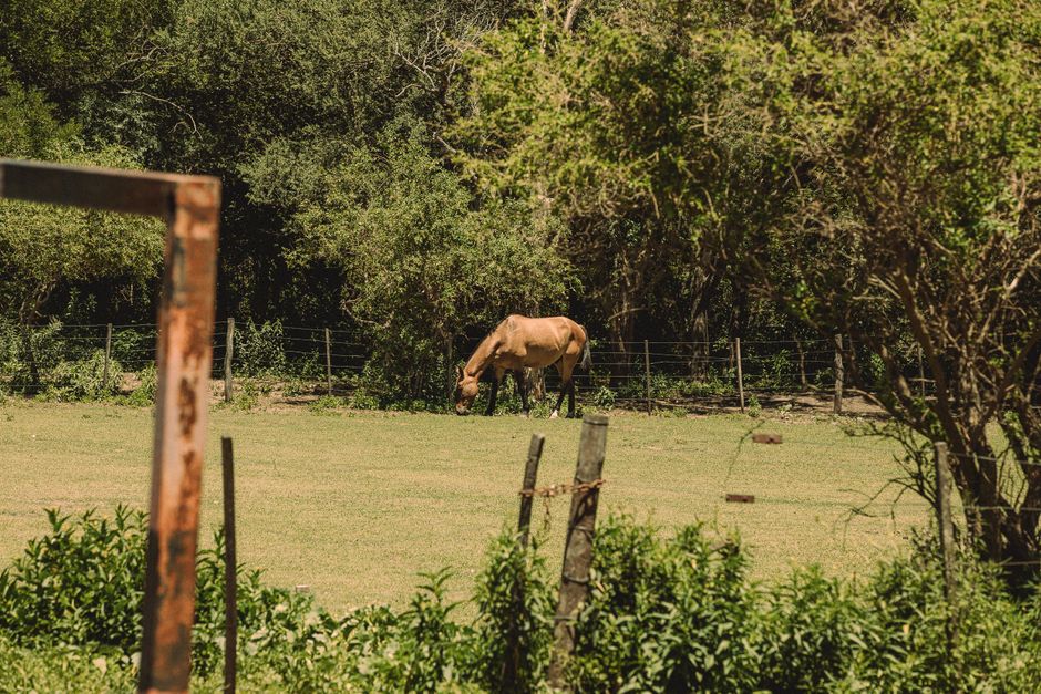 Les Avantages et Inconvenients de Vivre a Cordoba (Argentine)