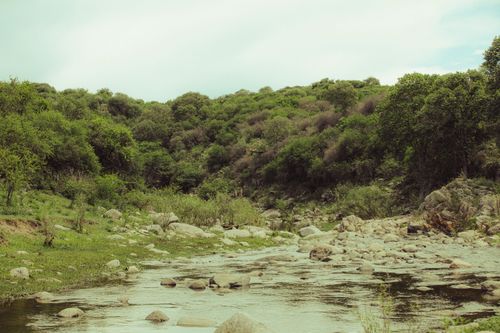 Free A tranquil scene of lush green hills and a pebbled river in Córdoba, Argentina. Stock Photo
