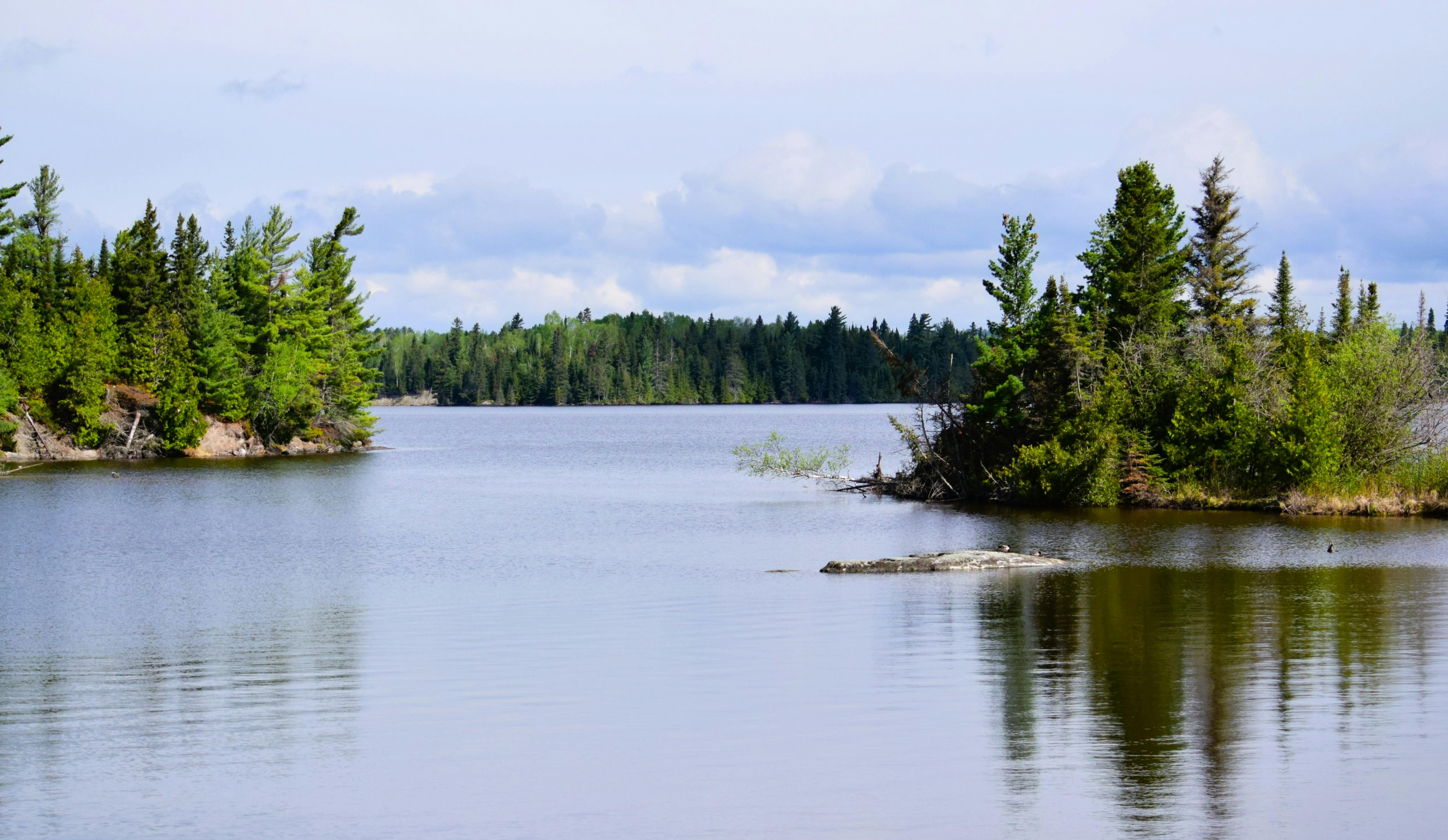 Tranquil lake scene with a lush evergreen forest in Dinorwic, Ontario, Canada.