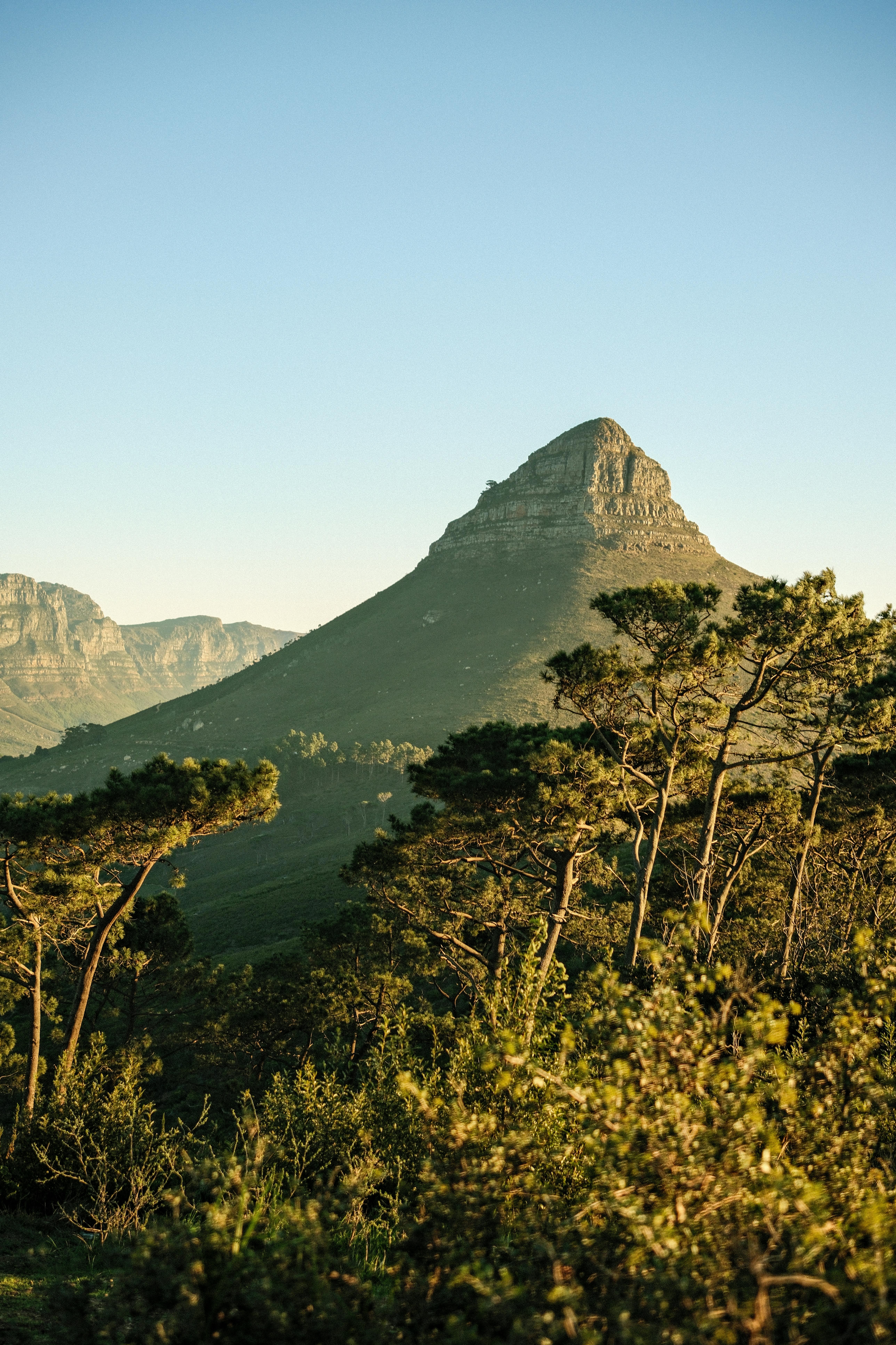Scenic view of Lions Head Mountain surrounded by lush trees during sunset in Cape Town, South Africa.