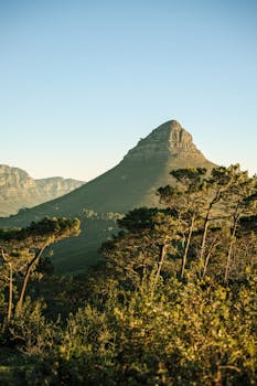 Scenic view of Lions Head Mountain surrounded by lush trees during sunset in Cape Town, South Africa.