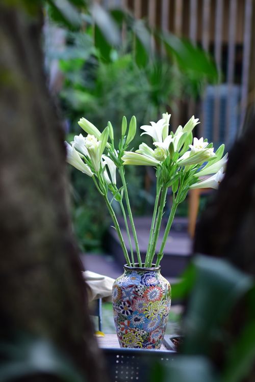 Free Beautiful white lilies in a colorful floral vase, surrounded by lush greenery outdoors. Stock Photo