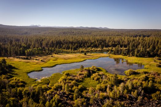 A stunning aerial view of a tranquil lake surrounded by lush forest in Oregon, USA.