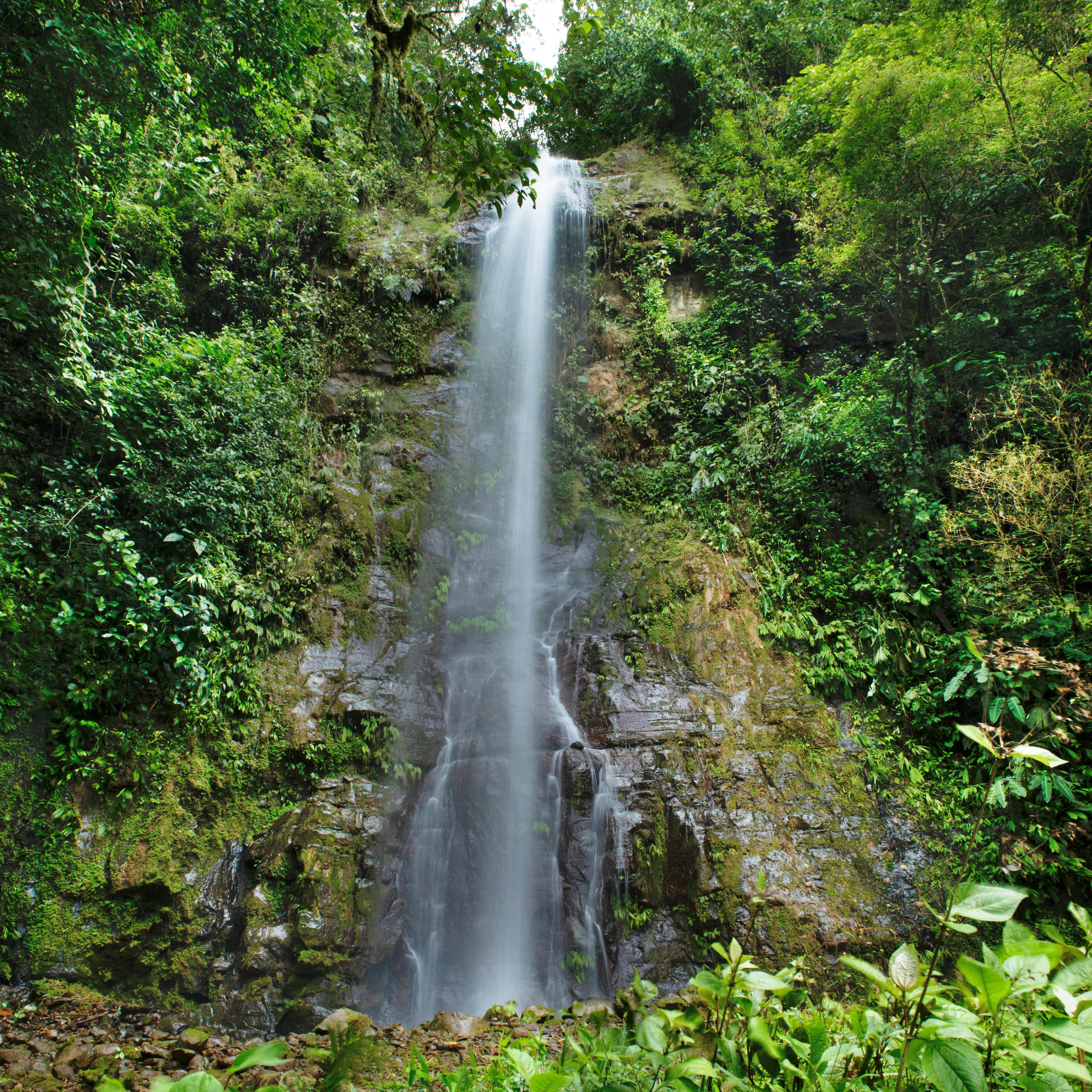 Costa Rica, pura vida — itinéraire Amanéa Voyage