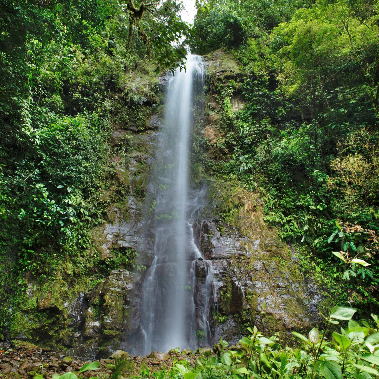 Puntarenas