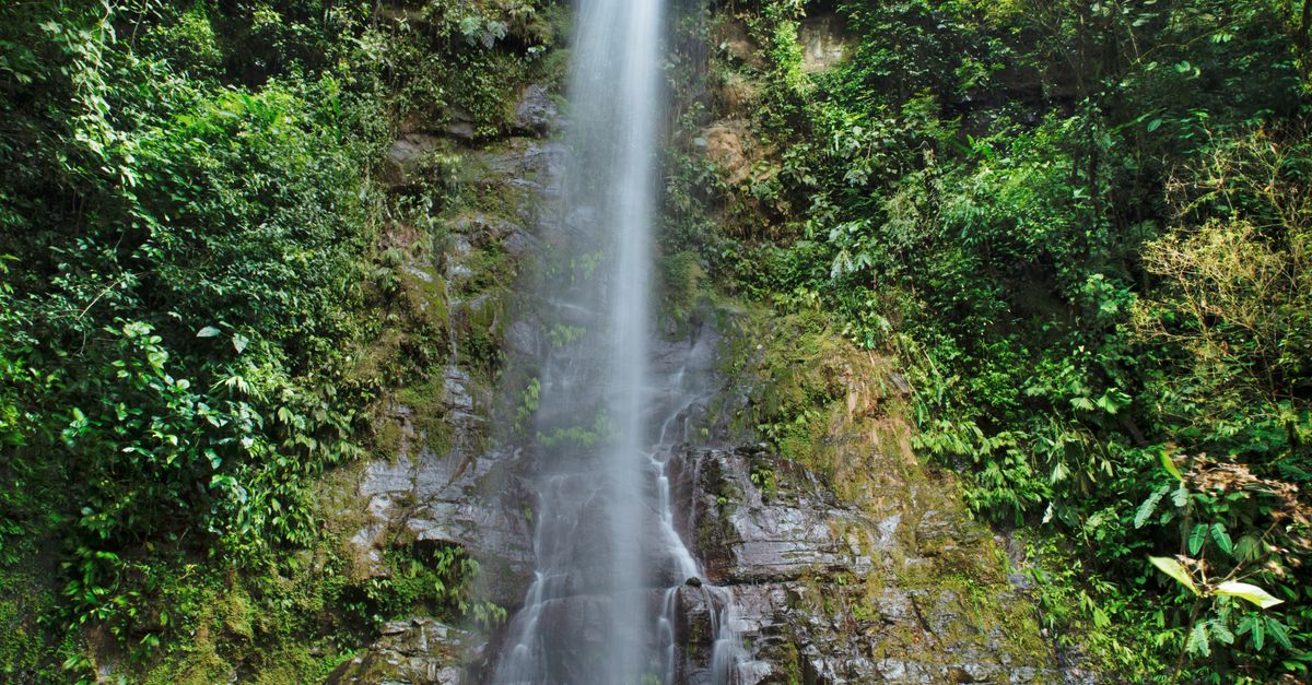 Ocho expediciones clave para entender la ecología de Honduras Ocho expediciones clave para entender la ecología de Honduras