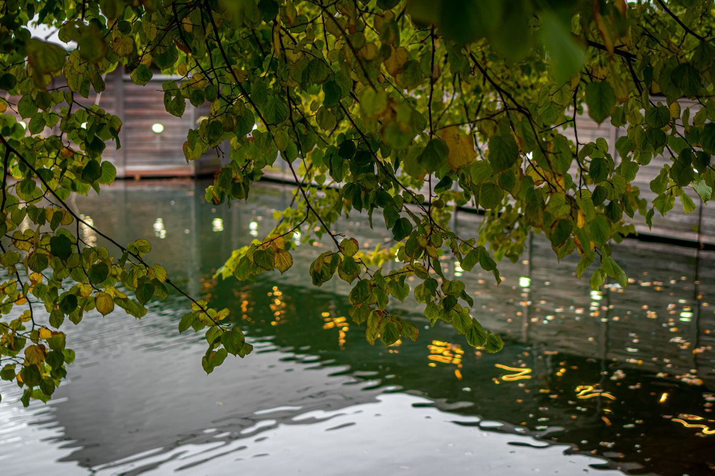 Luxury Phuket Retreat, photo 5 of 5