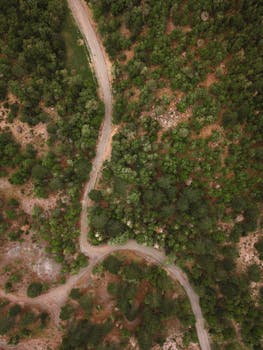 Drone shot of a winding path through a lush forest in Turkey, offering a scenic aerial view.