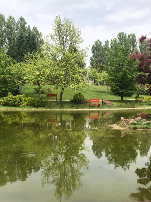 Free Serene park landscape with green trees and benches reflecting in a pond. Stock Photo