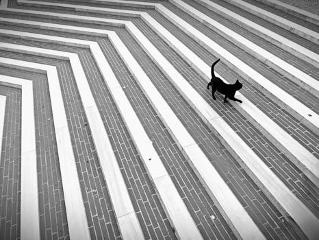 A black cat walks on geometrically patterned stairs in İstanbul, captured in black and white.