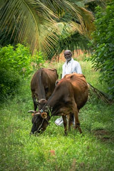 CCTV footage reveals shocking details in the death of a farmer in Ujjain, Madhya Pradesh.  Police investigation underway.
