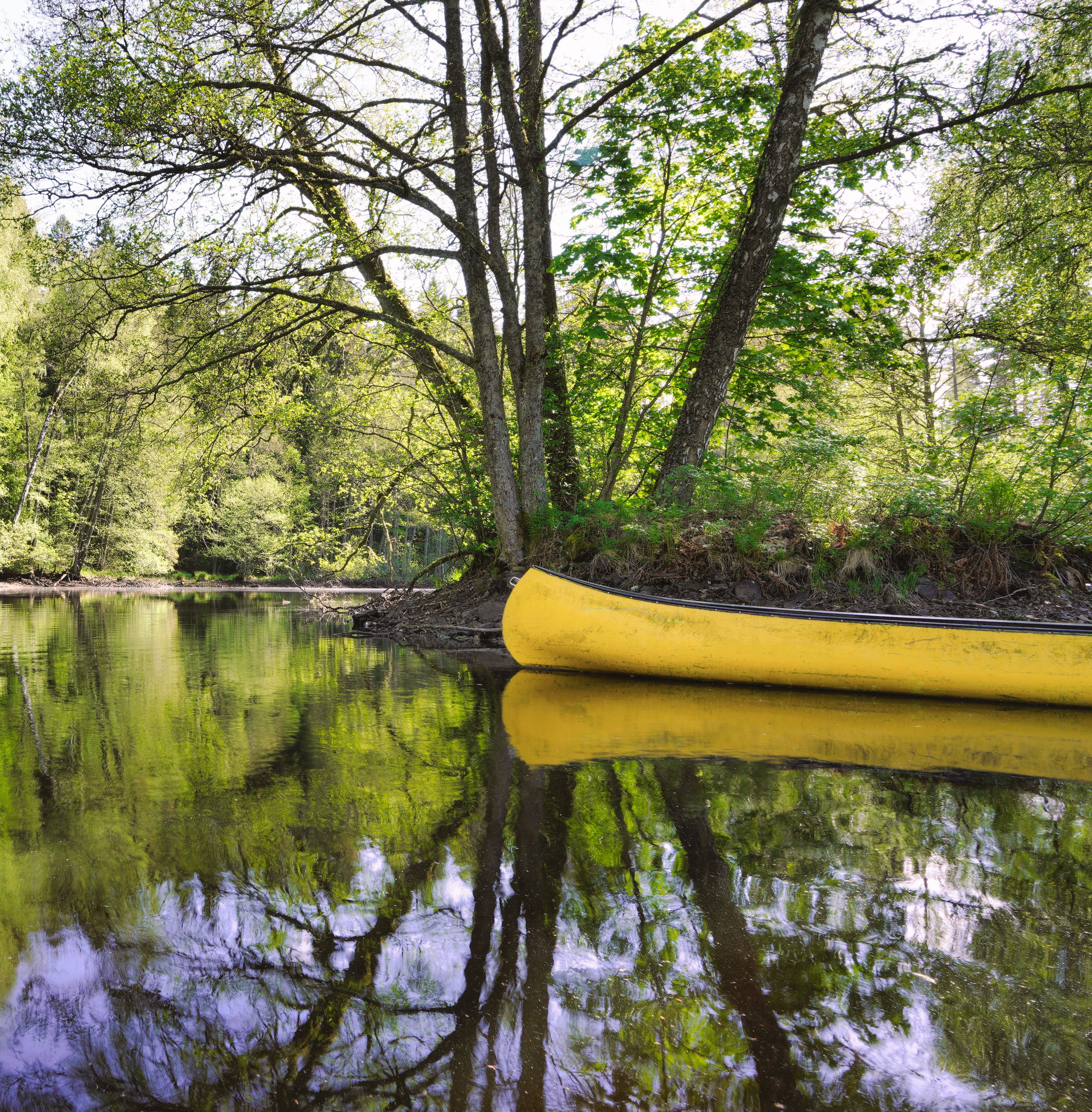 Serene Spring River Scene with Yellow Canoe · Free Stock Photo