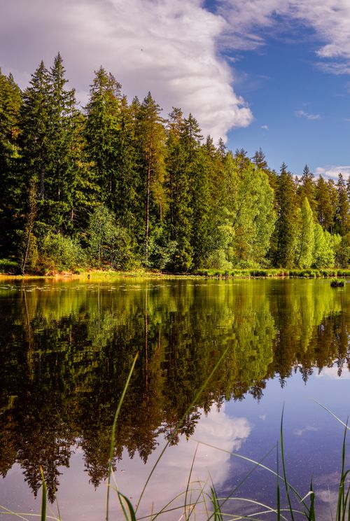 Free Idyllic forest lake scene with peaceful reflections under a vibrant blue sky. Stock Photo
