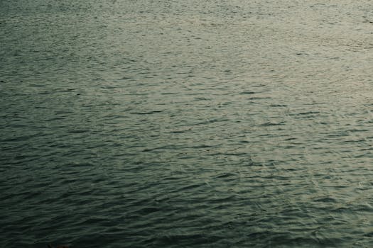 Anak Hero di Film Anpanman 2025 Ada Guest Cast Shizu-chan - anak 1