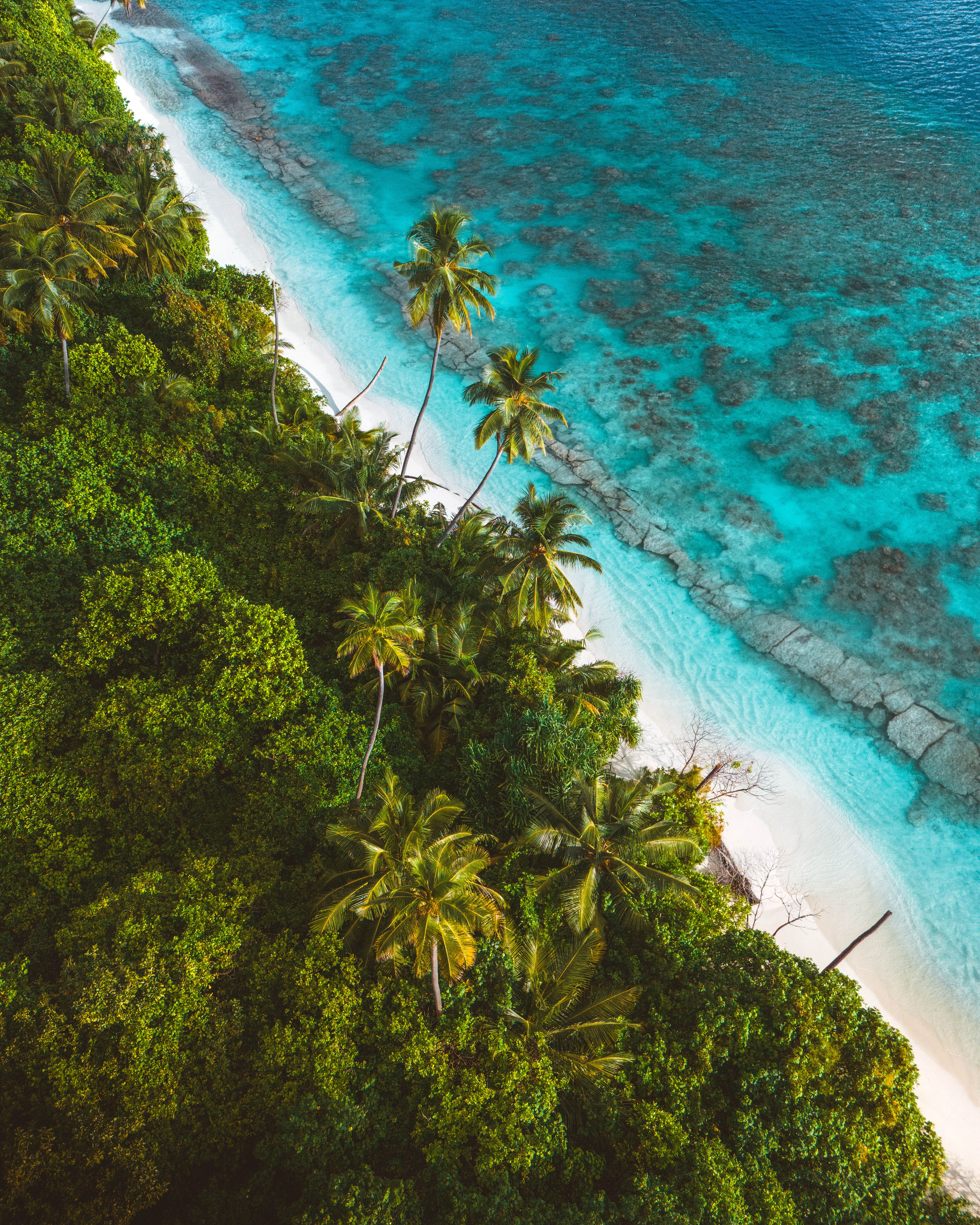 Vista Aérea De La Costa De Una Isla Tropical · Foto de stock gratuita