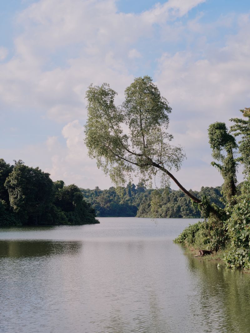 Ousteri Lake (Osudu Lake)