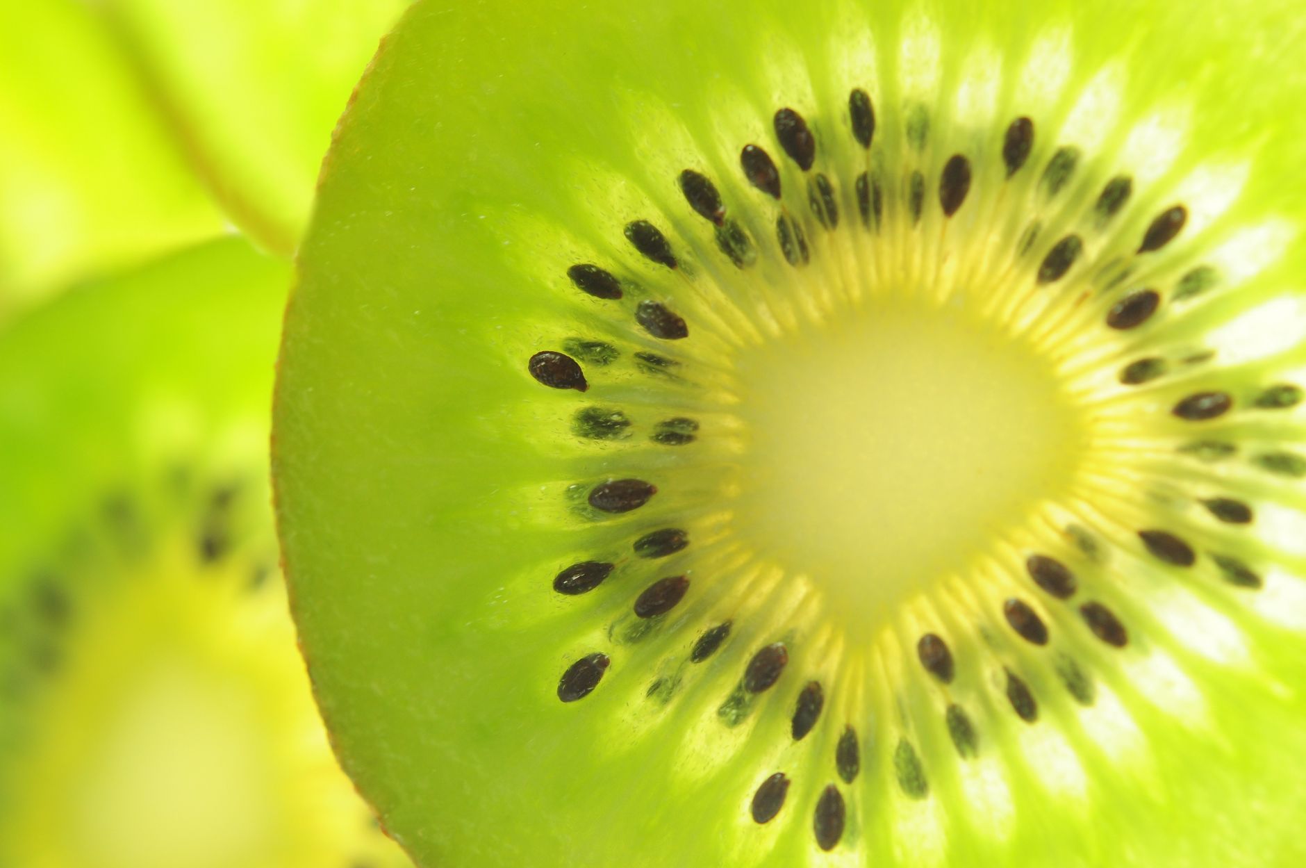 How To Build A Keto Meal Plan 1 kiwi slice