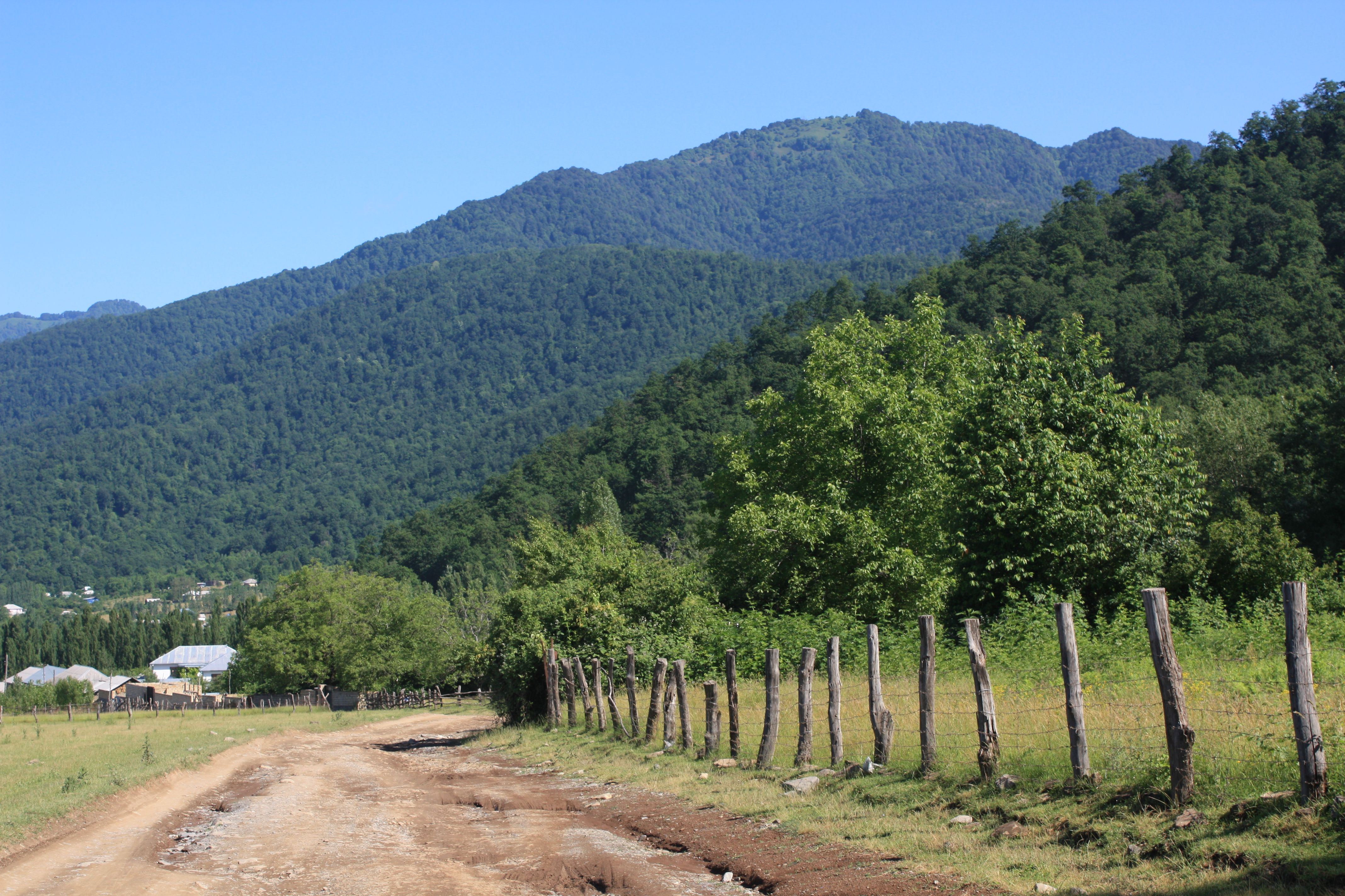 Tranquil country road lined with wooden fence in lush mountainous landscape.