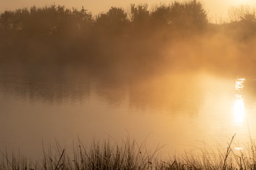 Бесплатное стоковое фото с вода, восход, дымка