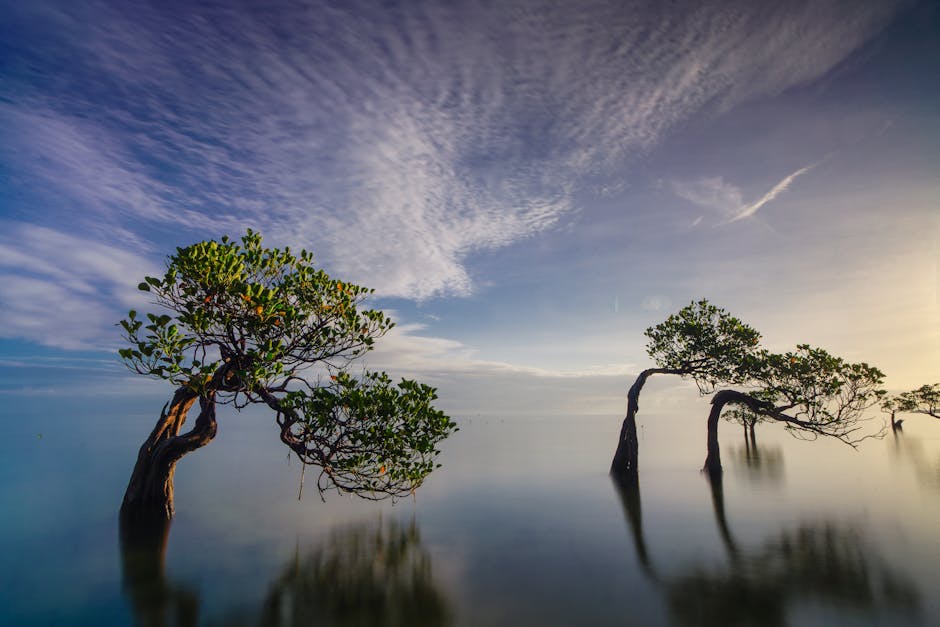 Hybrid Cloud Solutions: Unlocking Flexibility and Efficiency
