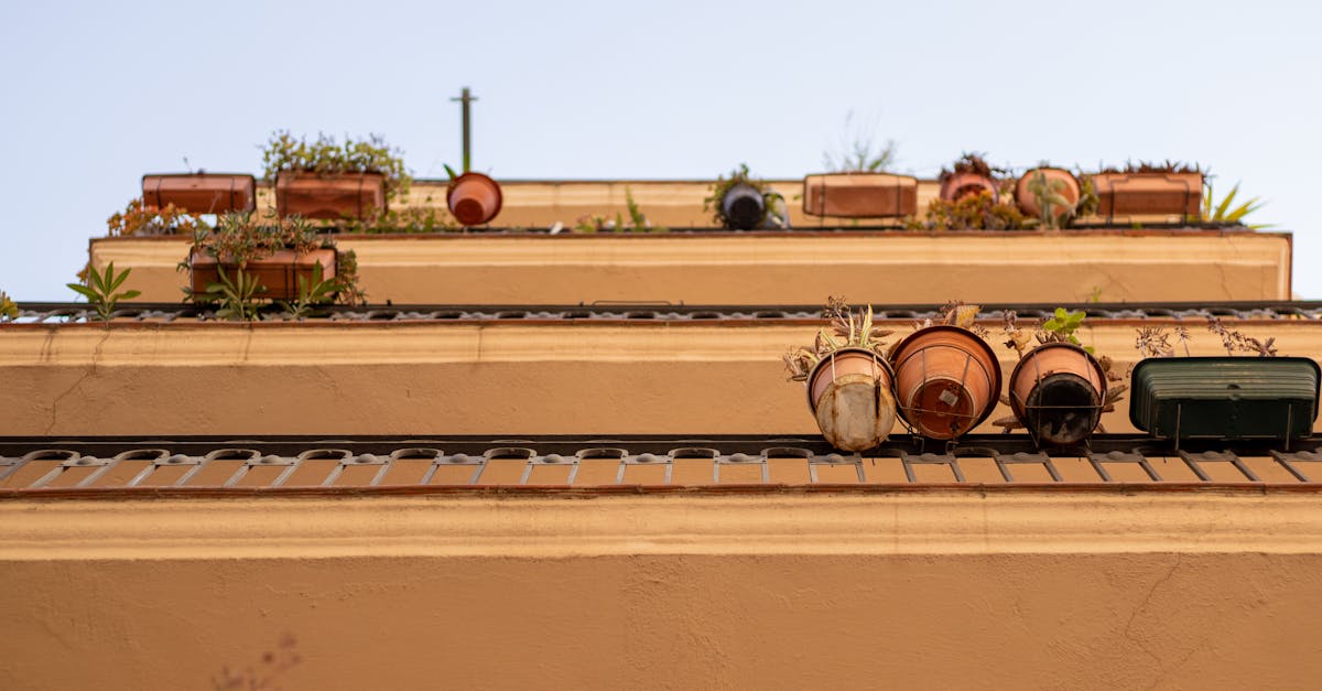 Les Erreurs Courantes en Micro-Jardinage à Éviter