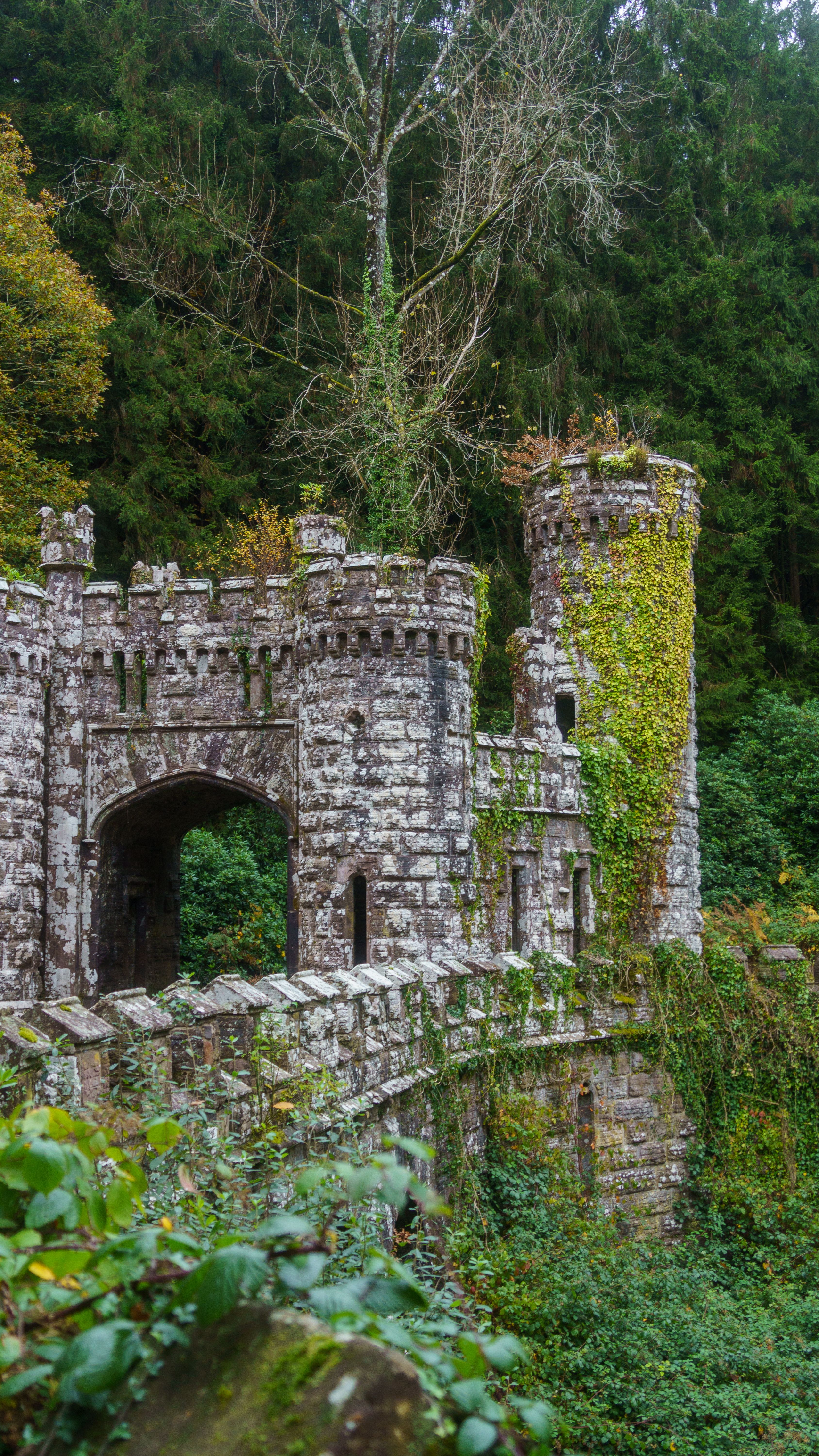 Ancient Castle Ruins in Lush Forest Setting · Free Stock Photo