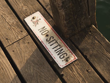 Image related to the Narmadapuram timber theft case involving a Member of Parliament and local officials.  Investigation underway.