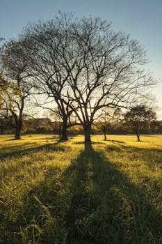 Image by Leandro Bezerra