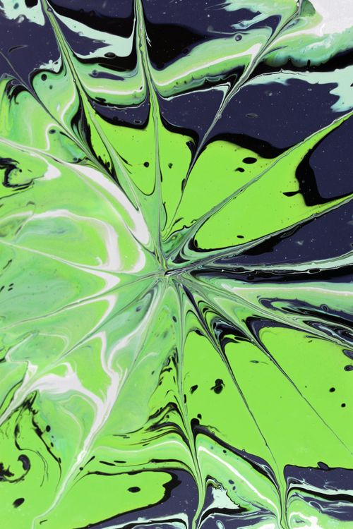 Free Dynamic abstract artwork featuring a swirl of vivid green hues with black accents, creating a mesmerizing visual. Stock Photo